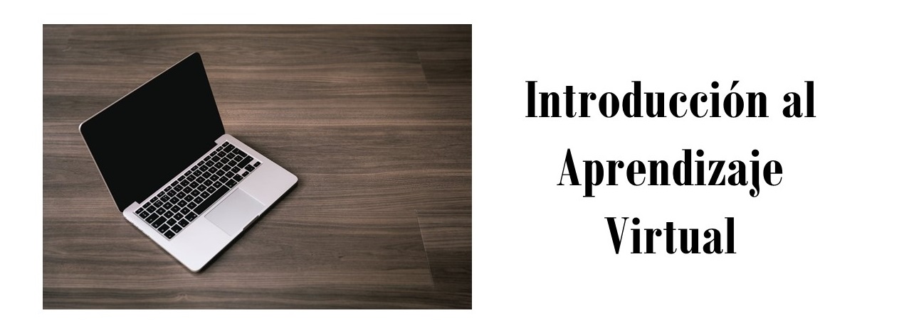 INTRODUCCIÓN AL APRENDIZAJE VIRTUAL (Preescolar-Primaria)